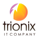 Логотип компании Трионикс