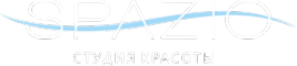 Логотип компании SPAZIO