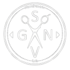 Логотип компании GSNV-Lab