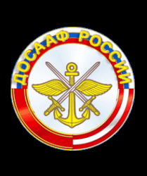 Логотип компании Советский спортивно-технический клуб ДОСААФ России